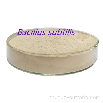 Bacillus subtilis agua insoluble 700cfu/g adition de alimentación